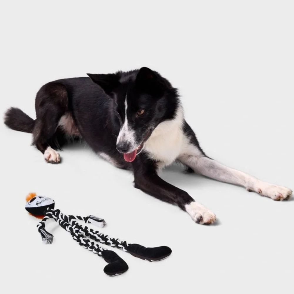 NWT Skeleton Rope Toy